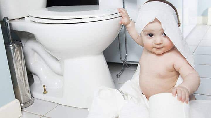 toilet training seat