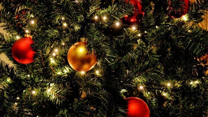 Christmas ornaments on tree