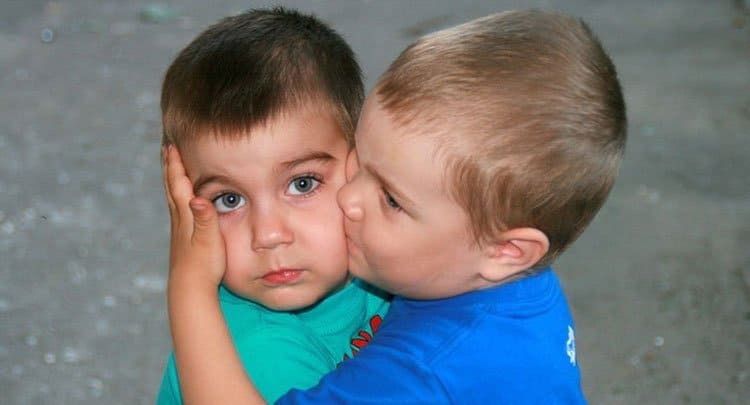 Fraternal twin brothers