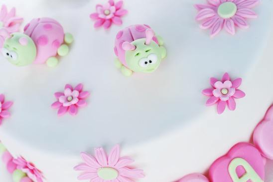 twins cake